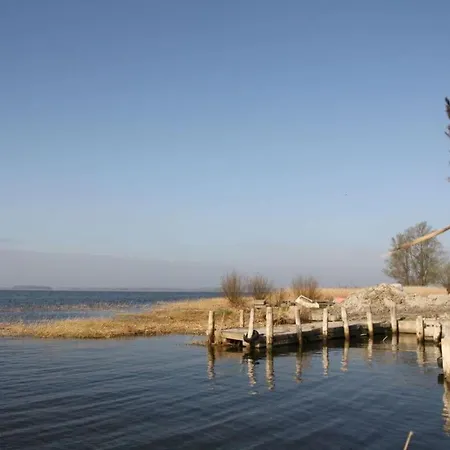 The Seagull House 