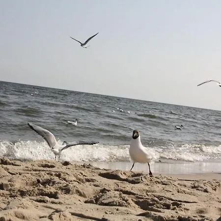 Vakantiehuis The Seagull House 